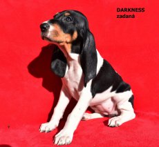 Darkness - portrét2
