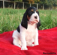 14-10-09-Bernadetta5