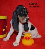 Cora-6.tyden