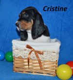 Cristine2 - 5.tyden