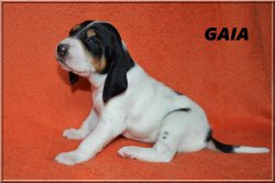 G 21 04 10 Gaia