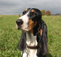 Ambra modelkou