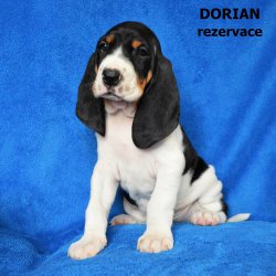 Dorian-5