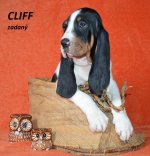 Cliff 1 - 7.tyden