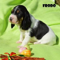 20 04 11 Frodo