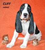 Cliff 2 - 7.tyden