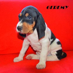 21 04 26 Geremy