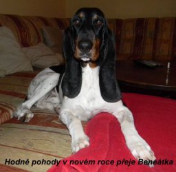 Přání do nového roku pohoda