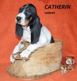 Catherin 1 - 7.tyden