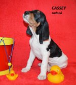 Cassey-6.tyden