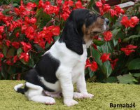 14-10-09-Barnabáš