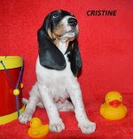Cristine-6.tyden