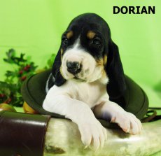 Dorian-3 tyden