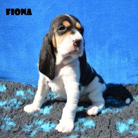 20 04 19 Fiona
