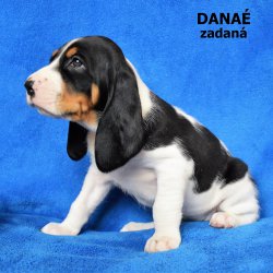 Danaé-5