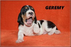 G 21 04 10 Geremy