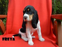 20 04 26 Freya