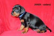 Janek 4tyden