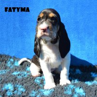 20 04 19 Fatyma