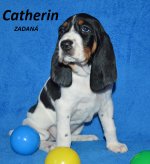 Catherin1 - 5.tyden