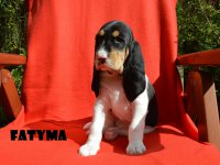 20 04 26 Fatyma