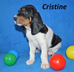 Cristine1 - 5.tyden