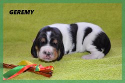 G 21 04 02 Geremy