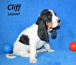 Cliff1 - 5.tyden