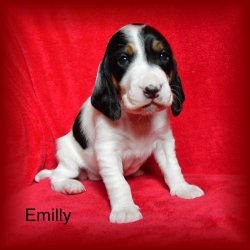 Emilly 3 tyden