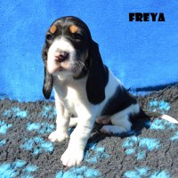 20 04 19 Freya