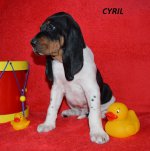 Cyril-6.tyden