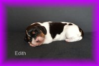 Edith
