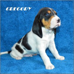 G 21 04 17 Gregory