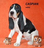 Caspian 2 - 7.tyden
