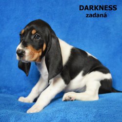 Darkness-5