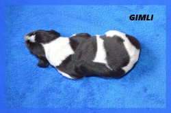 G Gimli 21 03 22 1