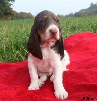 14-10-09-Billbo2