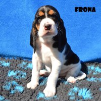 20 04 19 Frona