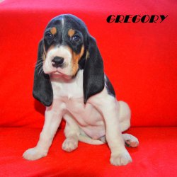21 04 26 Gregory