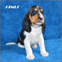 G 21 04 17 Gimli