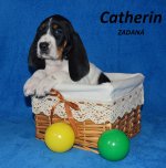 Catherin2 - 5.tyden