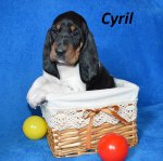 Cyril2 - 5.tyden