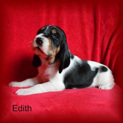 Edith 3 tyden