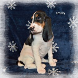 Emilly 7 tyden