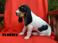 20 04 26 Florica
