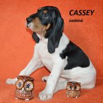 Cassey 2 - 7.tyden