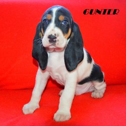 21 04 26 Gunter