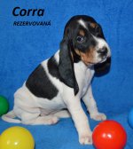 Cora2 - 5.tyden
