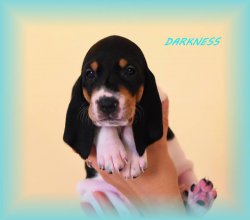 Darkness