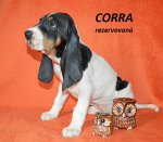 Cora 2 - 7.tyden